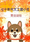 七十年代文工團小花小說封面圖