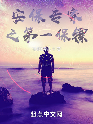 安保專家之第一保鏢小說封面圖