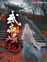 武帝崛起小說封面圖