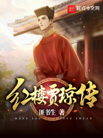 紅樓賈瓊傳小說封面圖