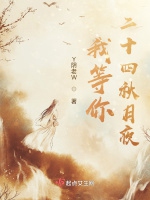 我等你二十四秋月夜小說封面圖