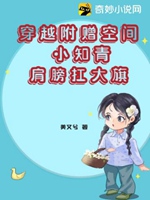 穿越附贈空間小知青肩膀扛大旗小說封面圖
