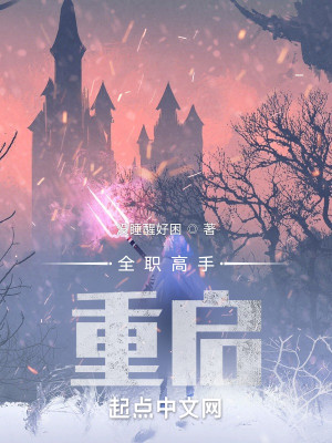 全職高手：重啓小說封面圖