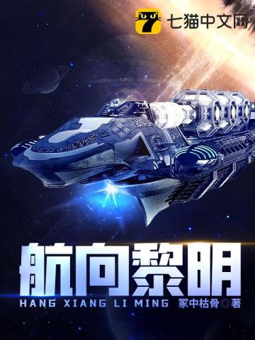 航向黎明小說封面圖