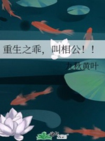 重生之乖，叫相公！！小說封面圖