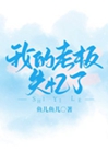 我的老闆失憶了小說封面圖
