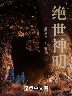 絕世神明小說封面圖