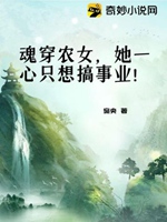 魂穿農女，她一心只想搞事業！小說封面圖