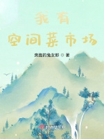 我有空間菜市場小說封面圖