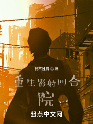 重生影射四合院小說封面圖