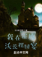 我在霍格沃茨擺國宴小說封面圖