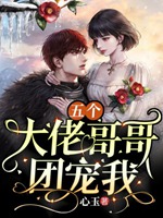 五個大佬哥哥團寵我小說封面圖