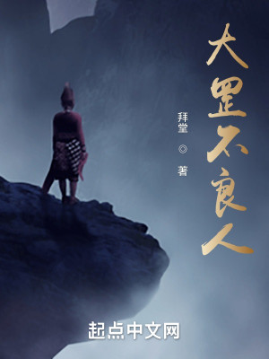 大罡不良人小說封面圖