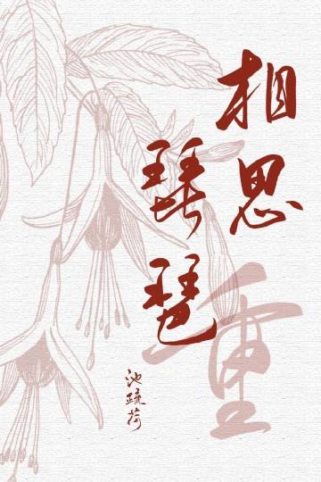 相思琵琶重小說封面圖
