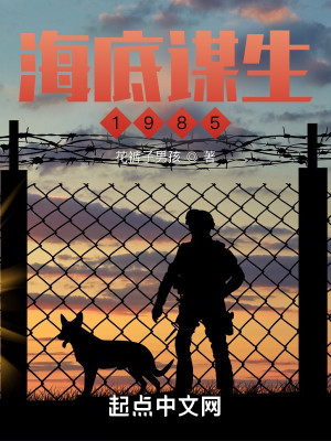 海底謀生1985小說封面圖