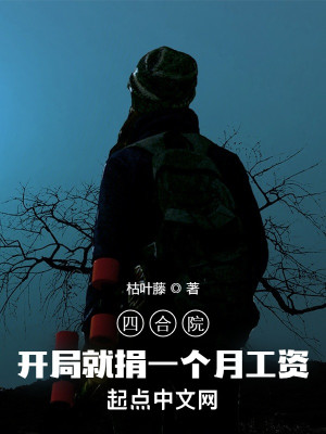 四合院：開局就捐一個月工資小說封面圖