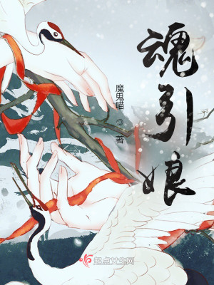 魂引娘小說封面圖