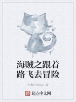 海賊之跟着路飛去冒險小說封面圖