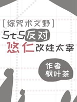 5t5反對悠仁改姓太宰小說封面圖