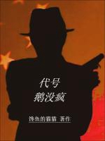 代號鵝沒瘋小說封面圖