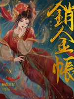 銷金帳小說封面圖