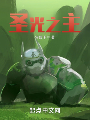 聖光之主小說封面圖