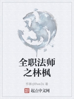 全職法師之林楓小說封面圖