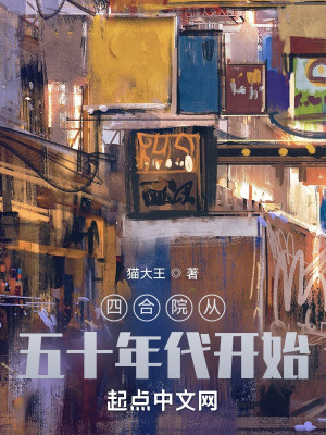四合院從那年代開始小說封面圖