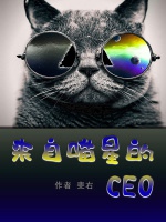 來自喵星的CEO小說封面圖