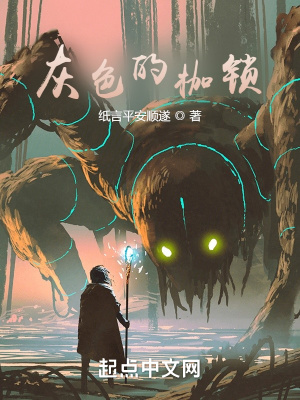 灰色的枷鎖小說封面圖
