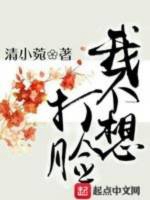 我不想打臉小說封面圖