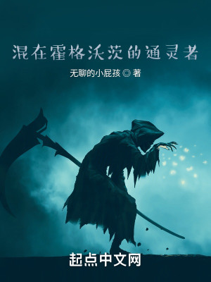 混在霍格沃茨的通靈者小說封面圖