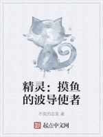 精靈：摸魚的波導使者小說封面圖