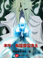 木葉：我能穿梭淨土小說封面圖
