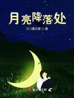 月亮降落處小說封面圖