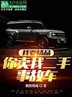 我要精品，你賣我二手事故車小說封面圖