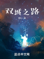 双城之路小说封面图