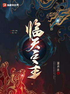臨天之主小說封面圖