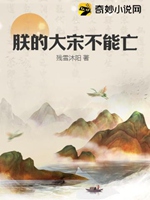 朕的大宋不能亡小說封面圖