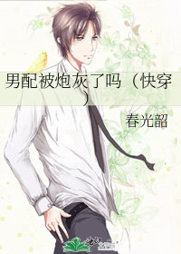 男配被炮灰了嗎（快穿）小說封面圖