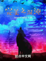 完美之混沌小說封面圖