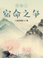 宿命之爭小說封面圖