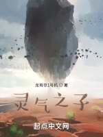 靈氣之子小說封面圖