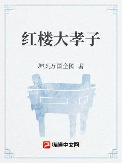 紅樓大孝子小說封面圖