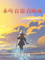 木葉首席召喚師小說封面圖