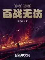 面板之我百戰無傷小說封面圖
