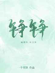 錚錚小說封面圖