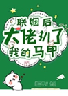 聯姻後大佬扒了我的馬甲小說封面圖
