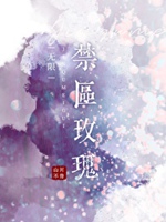 小廢物觀察記錄[無限]小說封面圖