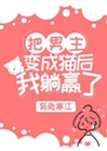 把男主變成貓後我躺贏了小說封面圖